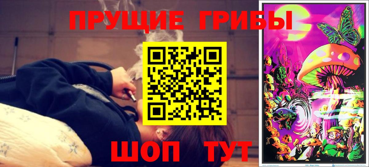 Псилоцибиновые грибы GOLDEN TEACHER Горно-Алтайск
